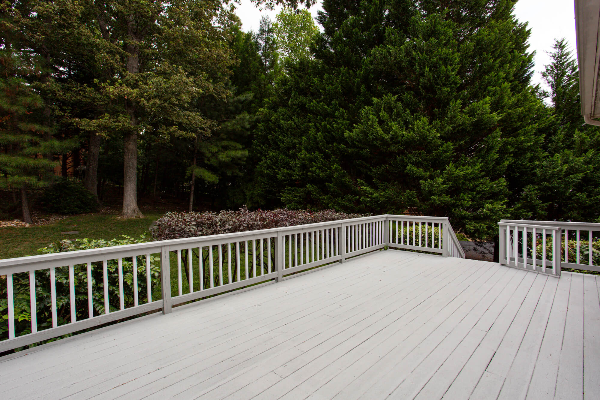 Deck Repair