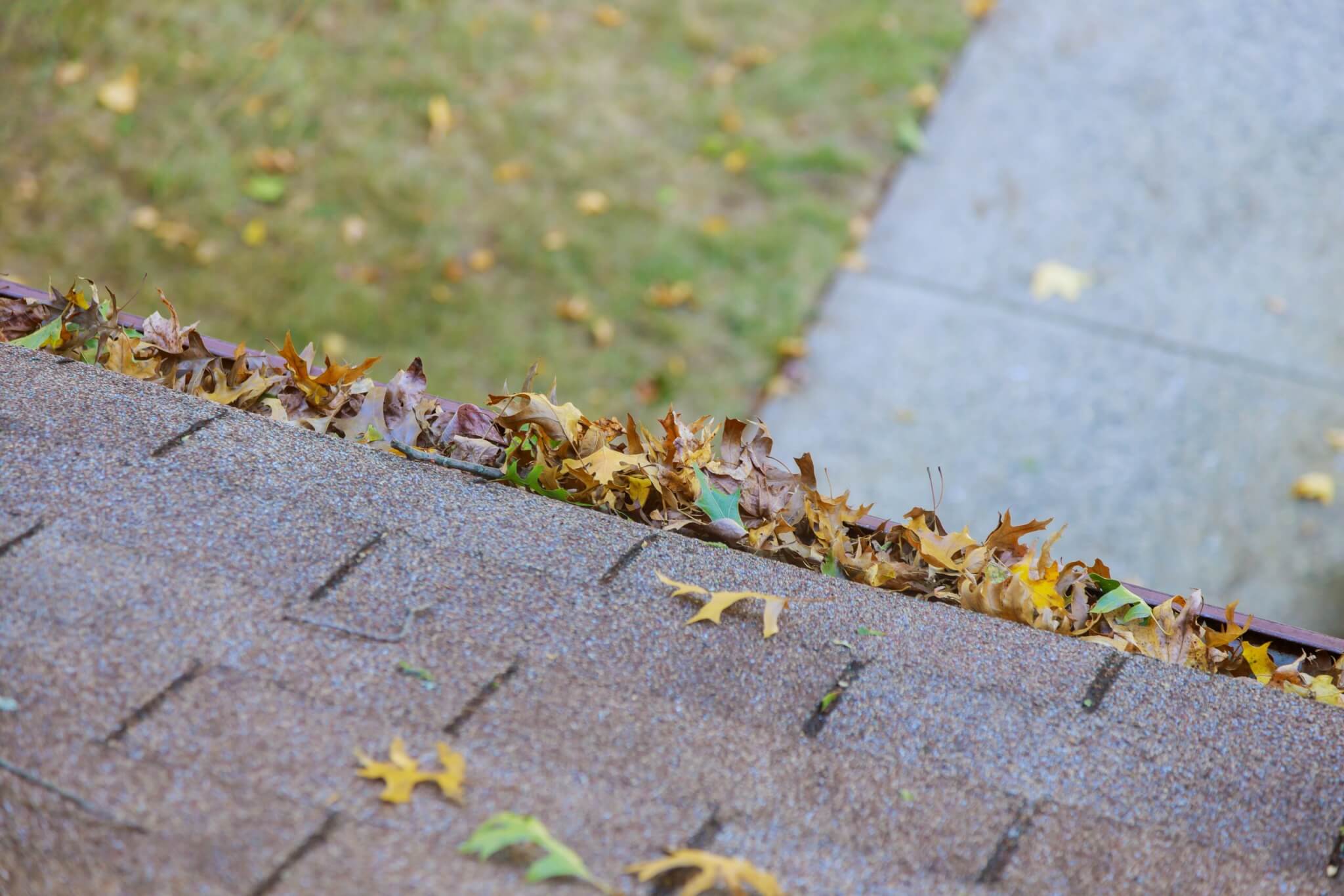 Gutter Cleaning